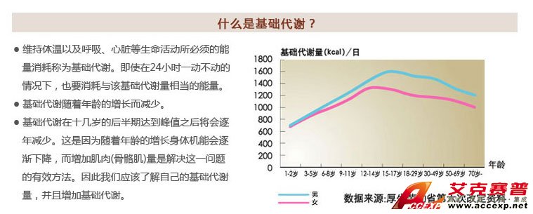 了解基礎代謝